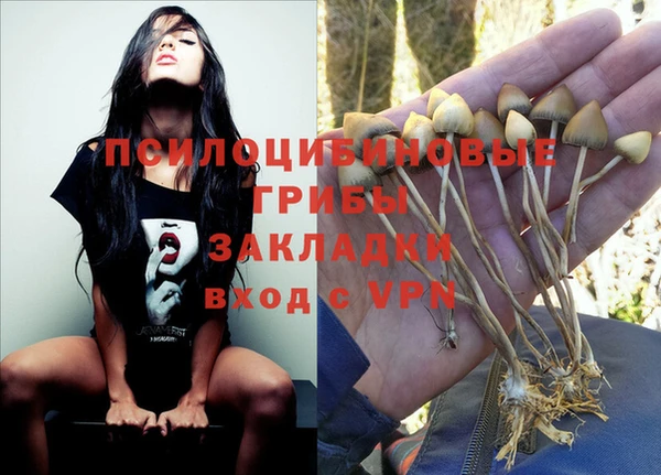 ешки Балахна